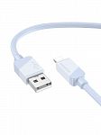 - USB 2.4A  Lightning 8-pin Borofone BX107  1