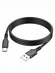 ����-������ USB 2.4A BOROFONE BX80 ��� 1� ��� Type-C