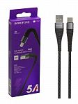 ����-������ USB 2.4A BOROFONE BX32 1� ���  Type-C